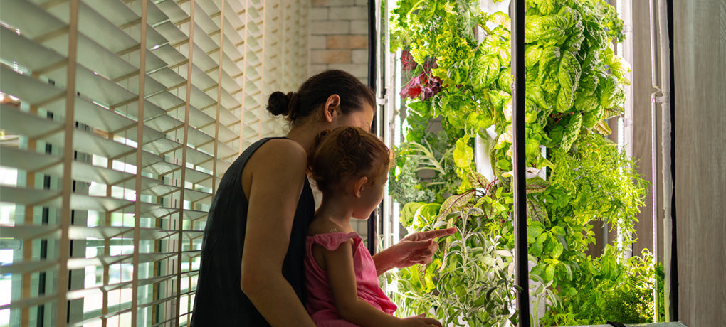 Uprawa hydroponiczna