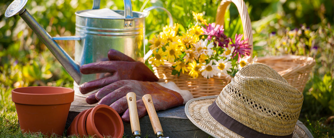 Jak znaleźć odpowiednie miejsce dla nowej szklarni