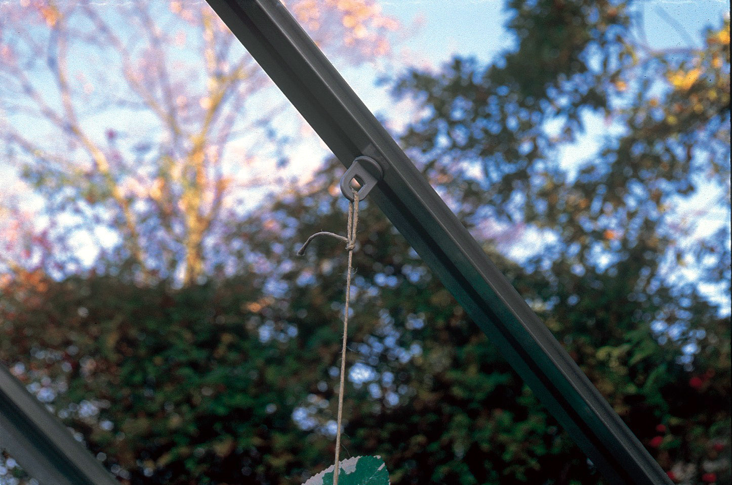 Juliana Wieszaki do roslin sztuk,