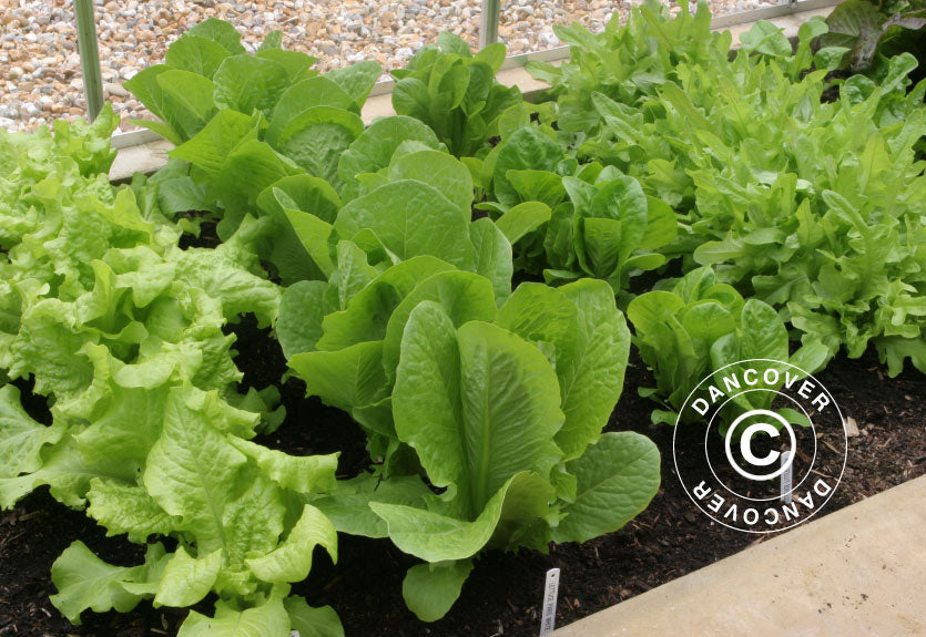 Juliana gleba termometr