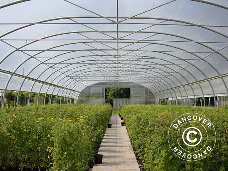 Profesjonalny tunel foliowy, 9,7x16x3,95m, przezroczysty