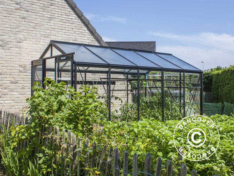 Greenhouse FLORA 2,32x3,71x2,35m Black