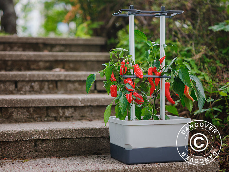 Donica, CHARLY CHILI, z tyczką i zbiornikiem na wodę, Jasnoszara