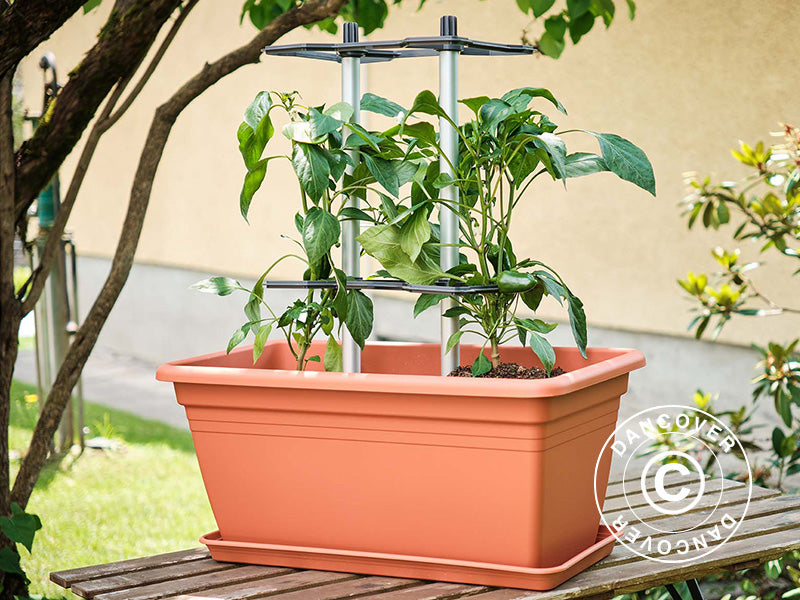 Tyczka, CHILI BUDDY, Antracyt/Srebro