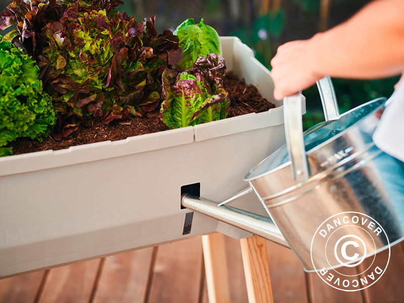 Podwyższona grządka, SAMMY SALAD, z przykryciem i zbiornikiem na wodę, Jasnoszara