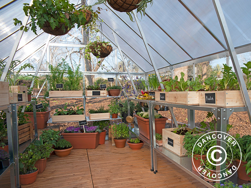 Szklarnia z poliwęglanu Balance 11,8m², Palram/Canopia, 2,44x4,87x2,29m, Srebrna