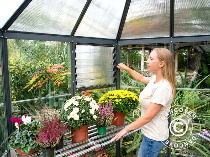 Oranżeria z poliwęglanu OASIS, sześciokątna 8,6m², Palram/Canopia, 3,16x3,63x2,89m, Antracyt