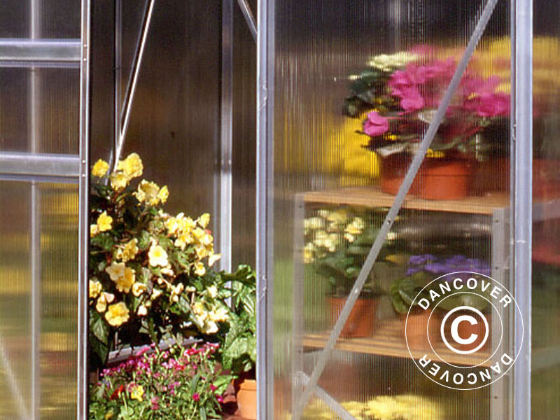 Szklarnia z poliwęglanu Halls Popular 3,8m², 1,93x1,95x1,95m, Aluminium