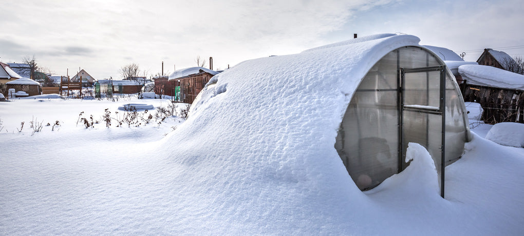 Szklarnie zimą