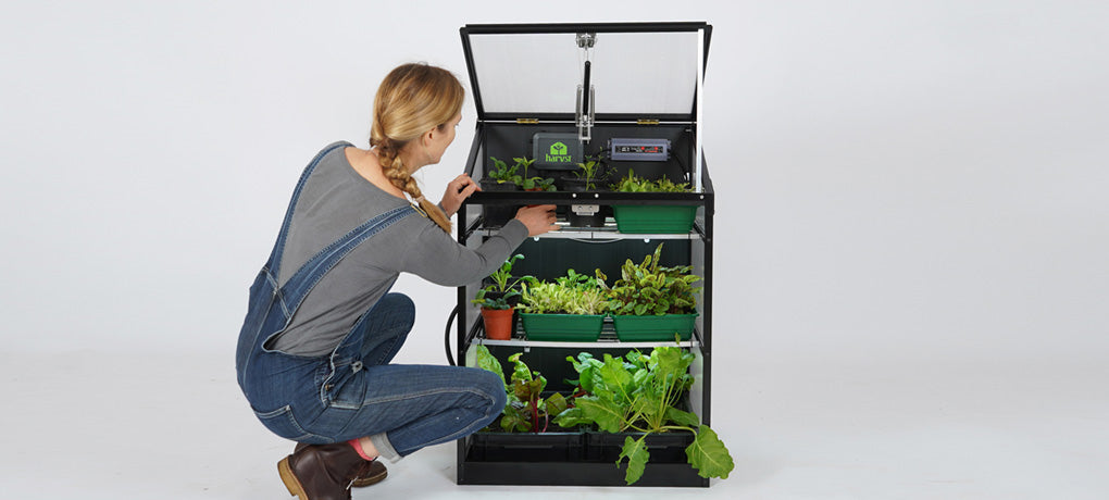 Inteligentne szklarnie