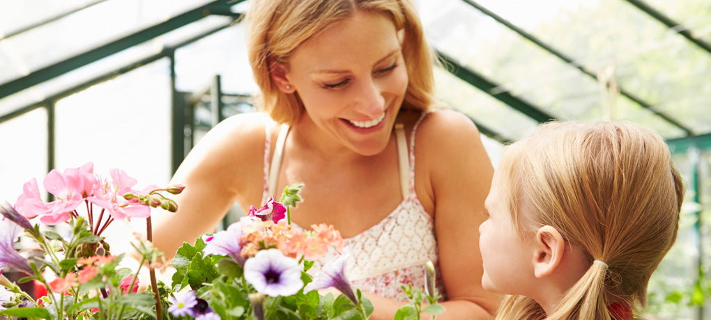 Szklarnia DIY lub profesjonalny, łatwy w montażu zestaw