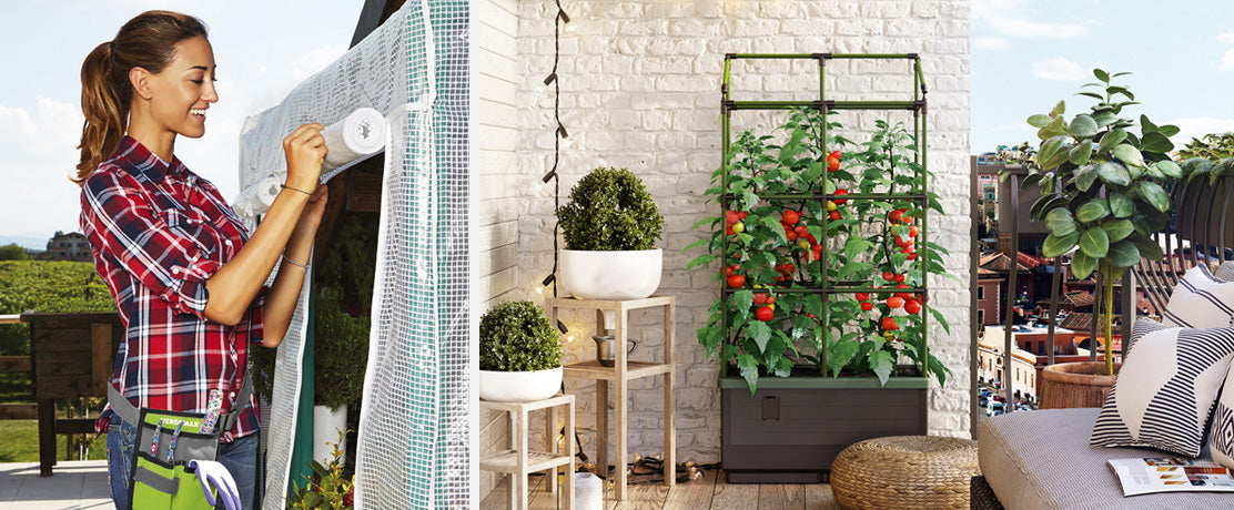 Małe szklarnie i szklarnie przyścienne