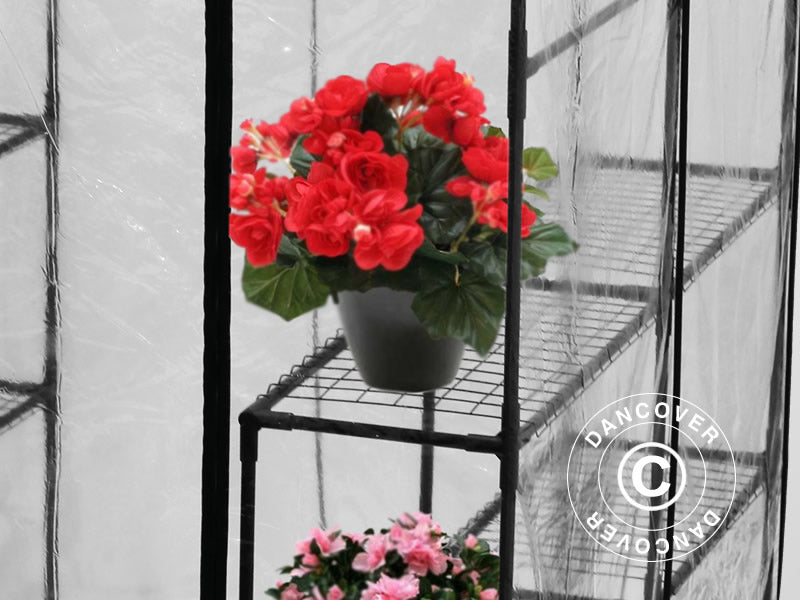 Tunel foliowy XL, 1,43x1,43x1,95m, Przezroczysty