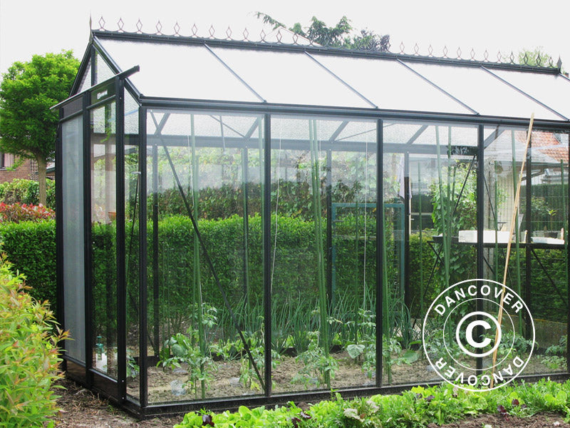 Greenhouse FLORA 3,06x3,71x2,59m Black