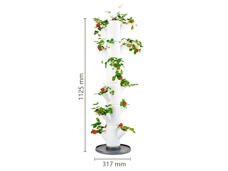 Wieża do sadzenia roślin, SISSI STRAWBERRY, pionowa, Antracyt