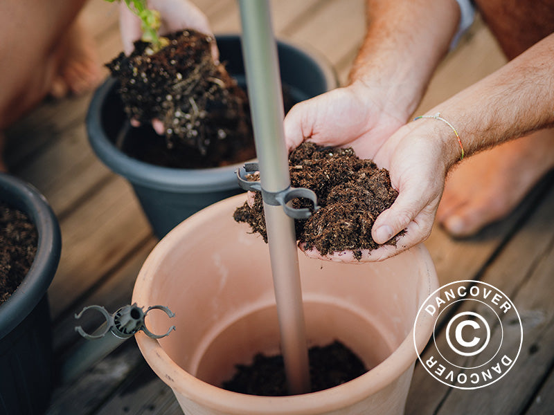 Tyczka, TOMATO BUDDY, Antracyt/Srebro