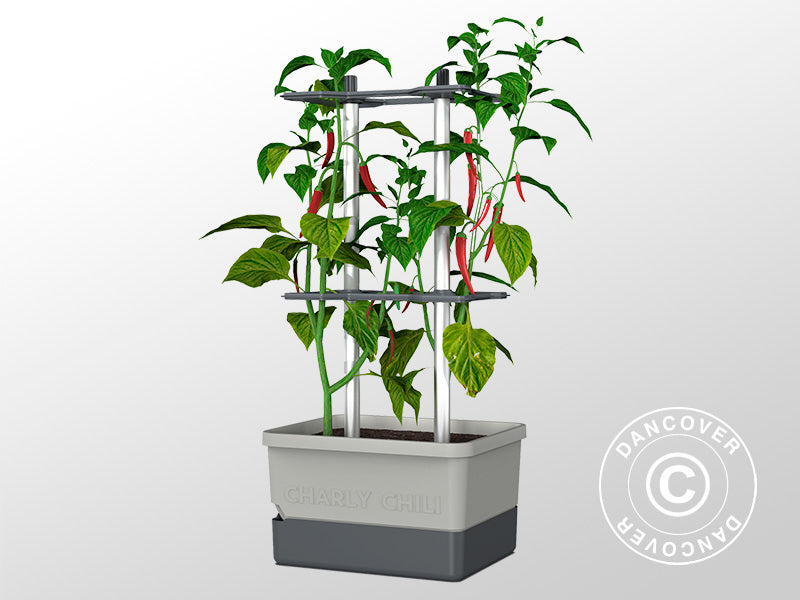 Donica, CHARLY CHILI, z tyczką i zbiornikiem na wodę, Jasnoszara