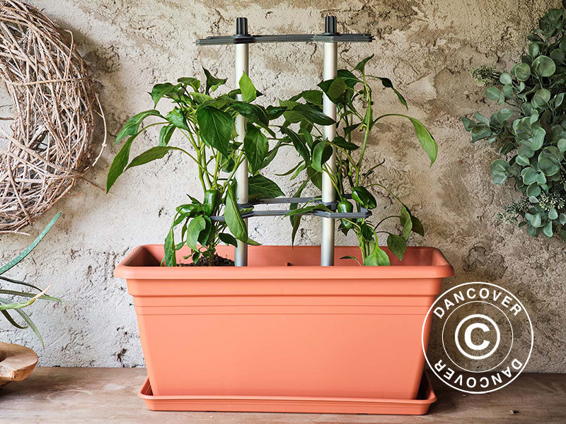 Tyczka, CHILI BUDDY, Antracyt/Srebro