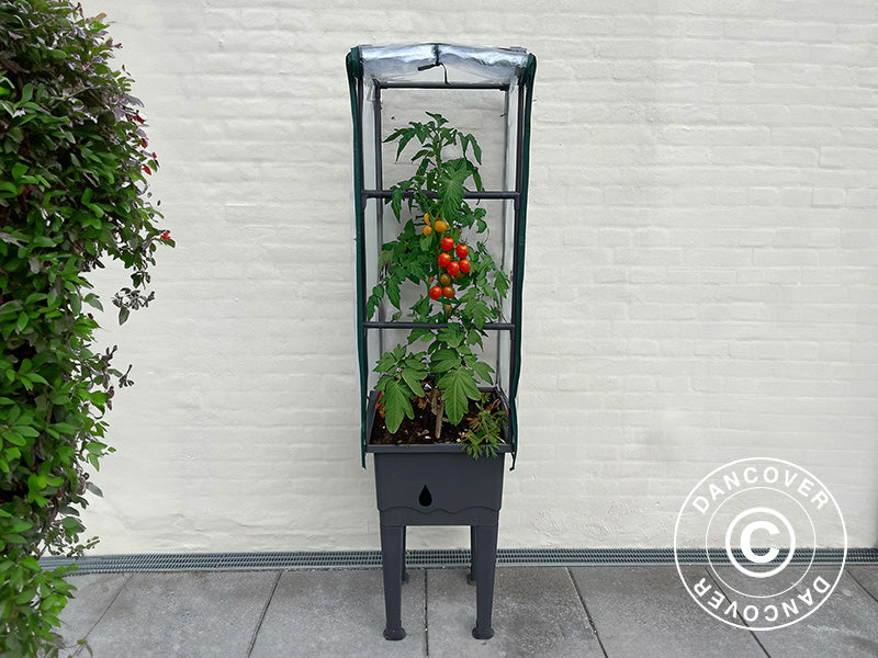 Skrzynka na rośliny/podwyższona grządka z kratką, 0,4x0,4x1,6m, Szara