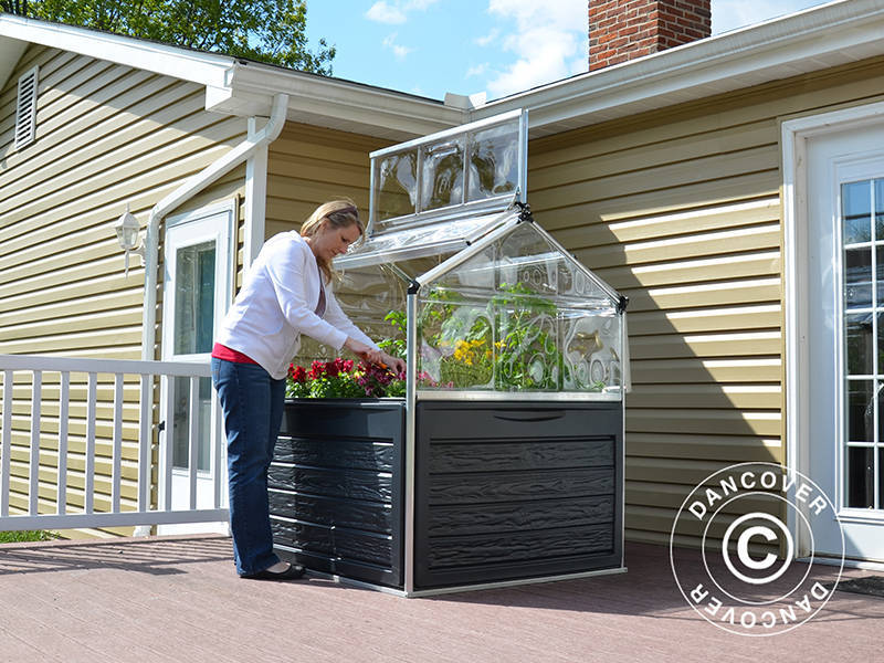 Mini szklarnia PLANT INN, Palram/Canopia, 1,18x1,18x1,48m, Przezroczysta