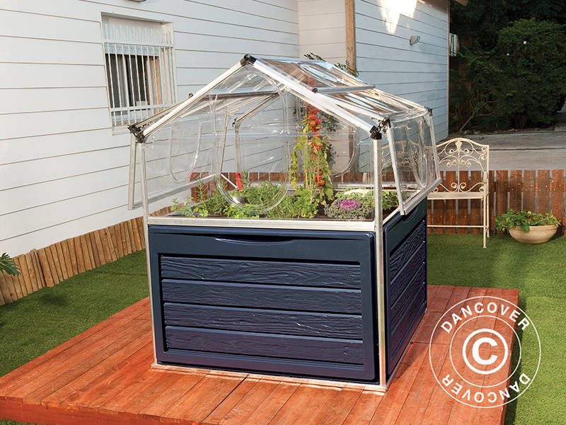 Mini szklarnia PLANT INN, Palram/Canopia, 1,18x1,18x1,48m, Przezroczysta