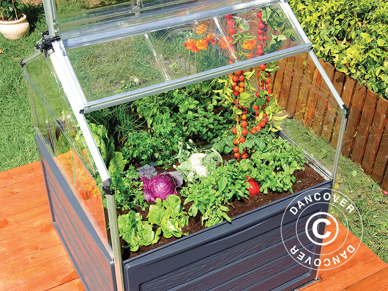 Mini szklarnia PLANT INN, Palram/Canopia, 1,18x1,18x1,48m, Przezroczysta